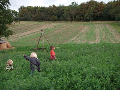In den Feldern von Spiesheim